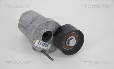 Triscan Spannarm, Keilrippenriemen [Hersteller-Nr. 8641113036] für BMW von TRISCAN