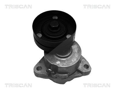 Triscan Spannarm, Keilrippenriemen [Hersteller-Nr. 8641243003] für Buick, Cadillac, Chevrolet, Gm Korea, Lada, Lotus, Opel von TRISCAN