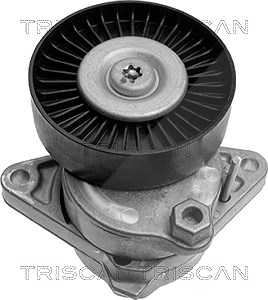 Triscan Spannarm, Keilrippenriemen [Hersteller-Nr. 8641233004] für Chrysler, Mercedes-Benz, Puch von TRISCAN