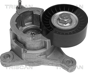 Triscan Spannarm, Keilrippenriemen [Hersteller-Nr. 8641103004] für Citroën, Fiat, Lancia, Peugeot von TRISCAN