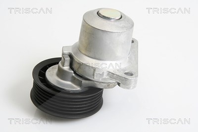 Triscan Spannarm, Keilrippenriemen [Hersteller-Nr. 8641103033] für Ford, Mazda von TRISCAN