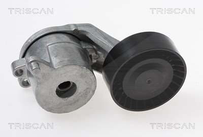 Triscan Spannarm, Keilrippenriemen [Hersteller-Nr. 8641103048] für Citroën, Peugeot, Toyota von TRISCAN