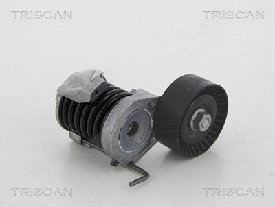 Triscan Spannarm, Keilrippenriemen [Hersteller-Nr. 8641113038] für BMW von TRISCAN