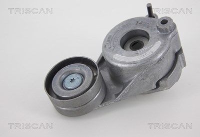 Triscan Spannarm, Keilrippenriemen [Hersteller-Nr. 8641233018] für Mercedes-Benz, Chrysler, Jeep von TRISCAN