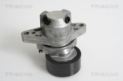 Triscan Spannarm, Keilrippenriemen [Hersteller-Nr. 8641253008] für Dacia, Nissan, Renault von TRISCAN