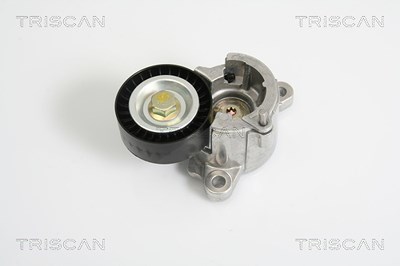 Triscan Spannarm, Keilrippenriemen [Hersteller-Nr. 8641281023] für Citroën, Peugeot von TRISCAN