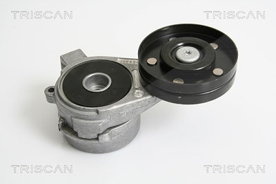 Triscan Spannarm, Keilrippenriemen [Hersteller-Nr. 8641653003] für Saab von TRISCAN