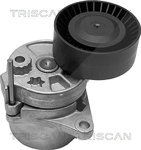 Triscan Spannarm, Keilrippenriemen [Hersteller-Nr. 8641233005] für Jeep, Mercedes-Benz von TRISCAN