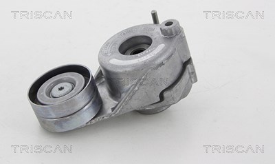 Triscan Spannarm, Keilrippenriemen [Hersteller-Nr. 8641233020] für Mercedes-Benz von TRISCAN