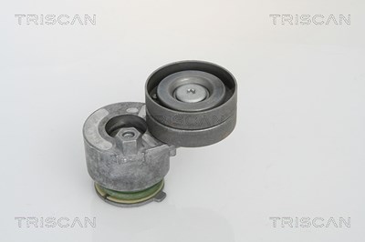 Triscan Spannarm, Keilrippenriemen [Hersteller-Nr. 8641103018] für Mitsubishi, Nissan, Opel, Renault, Volvo von TRISCAN