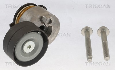 Triscan Spannarm, Keilrippenriemen [Hersteller-Nr. 8641253005] für Renault von TRISCAN