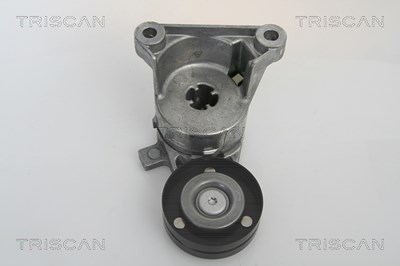 Triscan Spannarm, Keilrippenriemen [Hersteller-Nr. 8641273003] für Volvo von TRISCAN