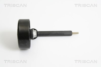 Triscan Spannrolle, Keilrippenriemen [Hersteller-Nr. 8641101008] für BMW, Land Rover, Opel von TRISCAN