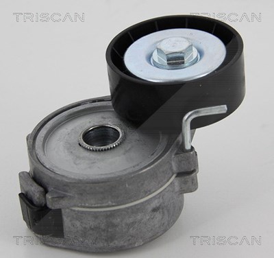 Triscan Spannrolle, Keilrippenriemen [Hersteller-Nr. 8641162015] für Citroën, Fiat, Ford, Ford Usa, Lancia, Mitsubishi, Peugeot, Volvo von TRISCAN