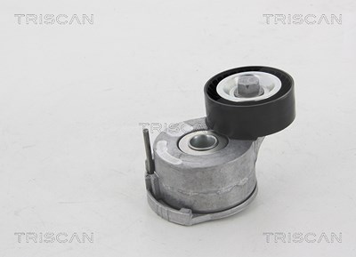 Triscan Spannrolle, Keilrippenriemen [Hersteller-Nr. 8641281026] für Citroën, Ds, Fiat, Opel, Peugeot, Toyota von TRISCAN