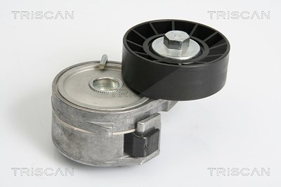 Triscan Spannrolle, Keilrippenriemen [Hersteller-Nr. 8641103031] für Citroën, Fiat, Lancia, Peugeot, Suzuki von TRISCAN