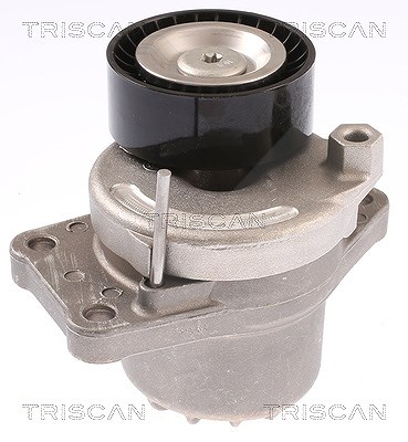 Triscan Spannrolle, Keilrippenriemen [Hersteller-Nr. 8641103051] für Citroën, Ds, Opel, Peugeot, Toyota von TRISCAN