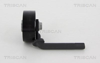 Triscan Spannrolle, Keilrippenriemen [Hersteller-Nr. 8641111013] für BMW von TRISCAN