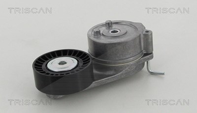 Triscan Spannrolle, Keilrippenriemen [Hersteller-Nr. 8641153012] für Alfa Romeo, Fiat, Lancia von TRISCAN