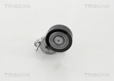 Triscan Spannrolle, Keilrippenriemen [Hersteller-Nr. 8641163023] für Ford von TRISCAN