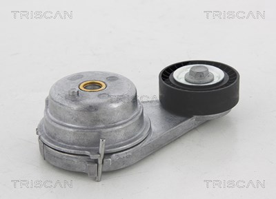 Triscan Spannrolle, Keilrippenriemen [Hersteller-Nr. 8641231023] für Smart von TRISCAN