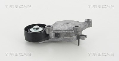 Triscan Spannrolle, Keilrippenriemen [Hersteller-Nr. 8641273006] für Ford, Volvo von TRISCAN