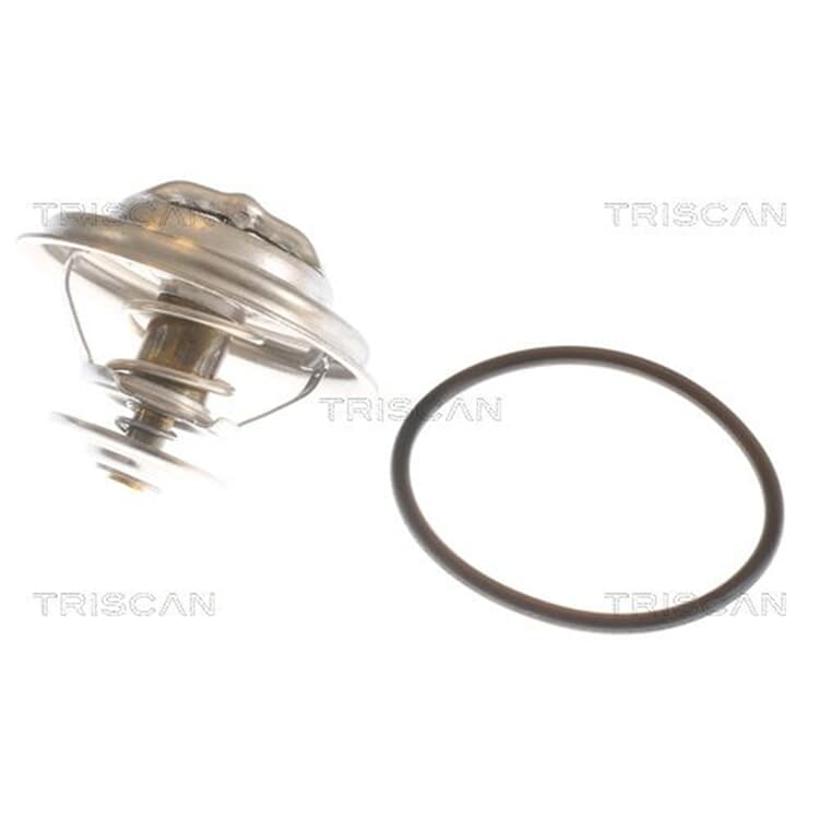 Triscan Thermostat BMW Land Rover Opel Porsche von TRISCAN