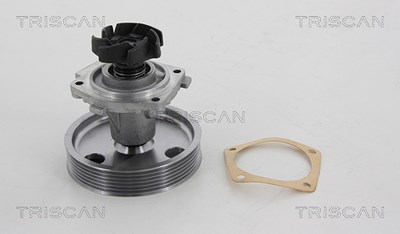 Triscan Wasserpumpe [Hersteller-Nr. 860015977] für Fiat von TRISCAN