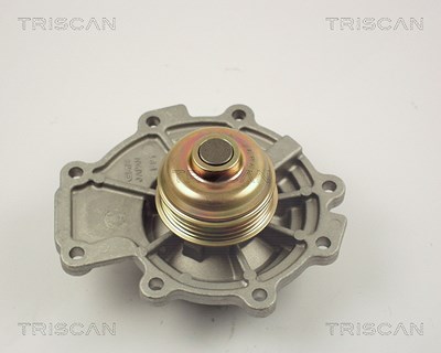 Triscan Wasserpumpe [Hersteller-Nr. 860016011] für Ford, Jaguar von TRISCAN