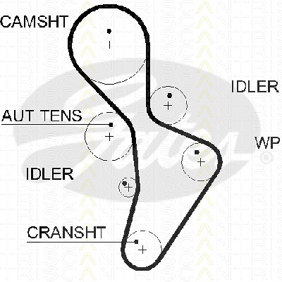 Triscan Zahnriemen [Hersteller-Nr. 86455616xs] für VW, Audi von TRISCAN