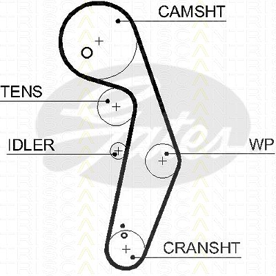 Triscan Zahnriemen [Hersteller-Nr. 86455569xs] für Audi, Ford, Seat, Skoda, VW von TRISCAN