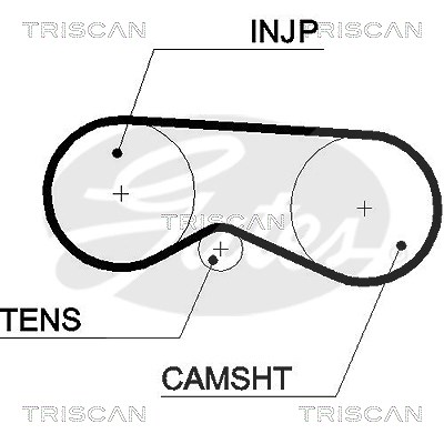 Triscan Zahnriemen [Hersteller-Nr. 86455531xs] für Audi, Skoda, VW von TRISCAN