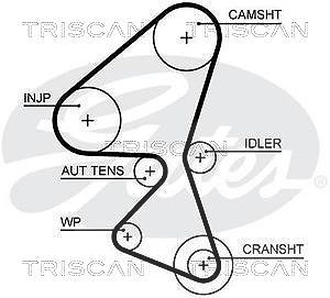 Triscan Zahnriemen [Hersteller-Nr. 86455656xs] für Citroën, Fiat, Ford, Peugeot, Toyota, Mazda, Mitsubishi, Volvo von TRISCAN