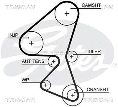 Triscan Zahnriemen [Hersteller-Nr. 86455657xs] für Citroën, Ford, Peugeot von TRISCAN