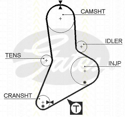 Triscan Zahnriemen [Hersteller-Nr. 86455335xs] für Citroën, Fiat, Iveco, Peugeot, Renault, Renault Trucks von TRISCAN