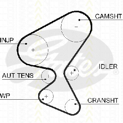 Triscan Zahnriemen [Hersteller-Nr. 86455598xs] für Citroën, Fiat, Ford, Mazda, Mini, Peugeot, Suzuki, Volvo von TRISCAN