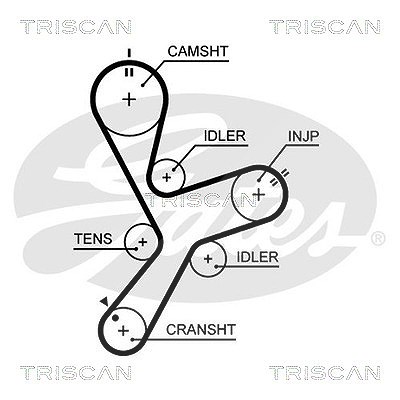 Triscan Zahnriemen [Hersteller-Nr. 86455641xs] für Mitsubishi von TRISCAN