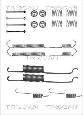 Triscan Zubehörsatz, Bremsbacken [Hersteller-Nr. 8105152553] für Citroën, Fiat, Ford, Nissan, Peugeot von TRISCAN