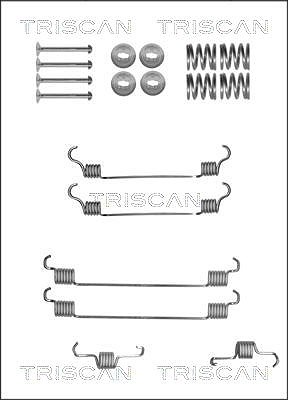 Triscan Zubehörsatz, Bremsbacken [Hersteller-Nr. 8105102597] für Citroën, Opel, Peugeot, Subaru, Suzuki, Toyota von TRISCAN