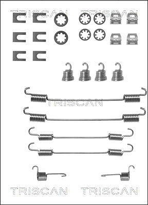 Triscan Zubehörsatz, Bremsbacken [Hersteller-Nr. 8105282524] für Peugeot von TRISCAN