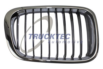 Trucktec Automotive Kühlergitter [Hersteller-Nr. 08.62.258] für BMW von TRUCKTEC AUTOMOTIVE