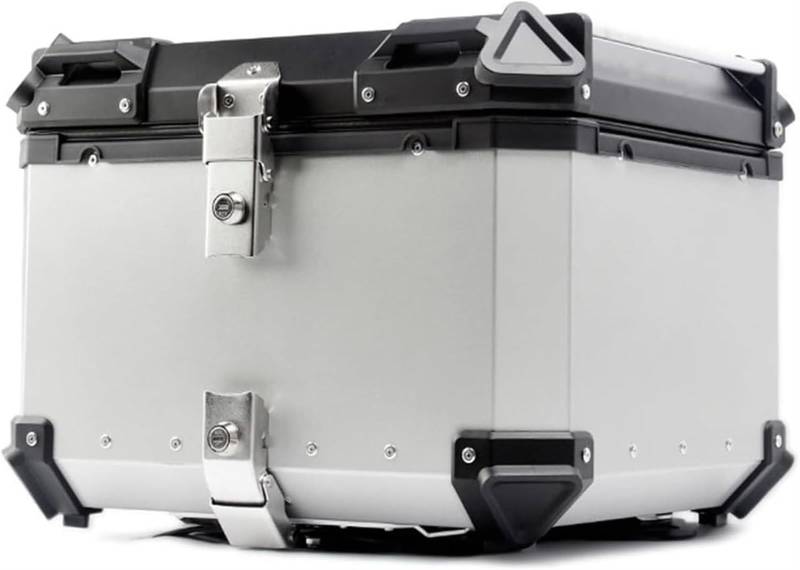 Motorrad-Topcase, Motorrad-Kofferraumgepäck Mit Sicherheitsschloss Und Weicher Rückenlehne, Robustes Aluminium-Motorrad-Top-Case, Universelles Motorrad-Heckbox(Silver,100L) von TS TAC-SKY