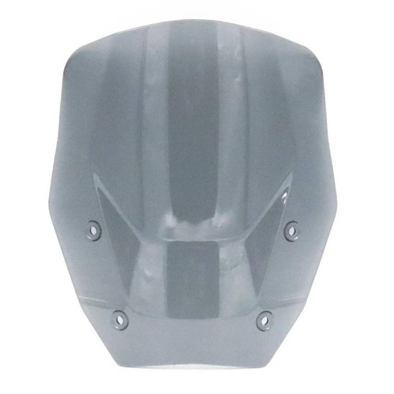 Fliegengitter Visier Protector Für B&MW R 1300 GS R1300GS R1300 GS 2023 2024 Motorrad Frontscheibe Windabweiser Frontspoiler(Gray) von TTADINUDD