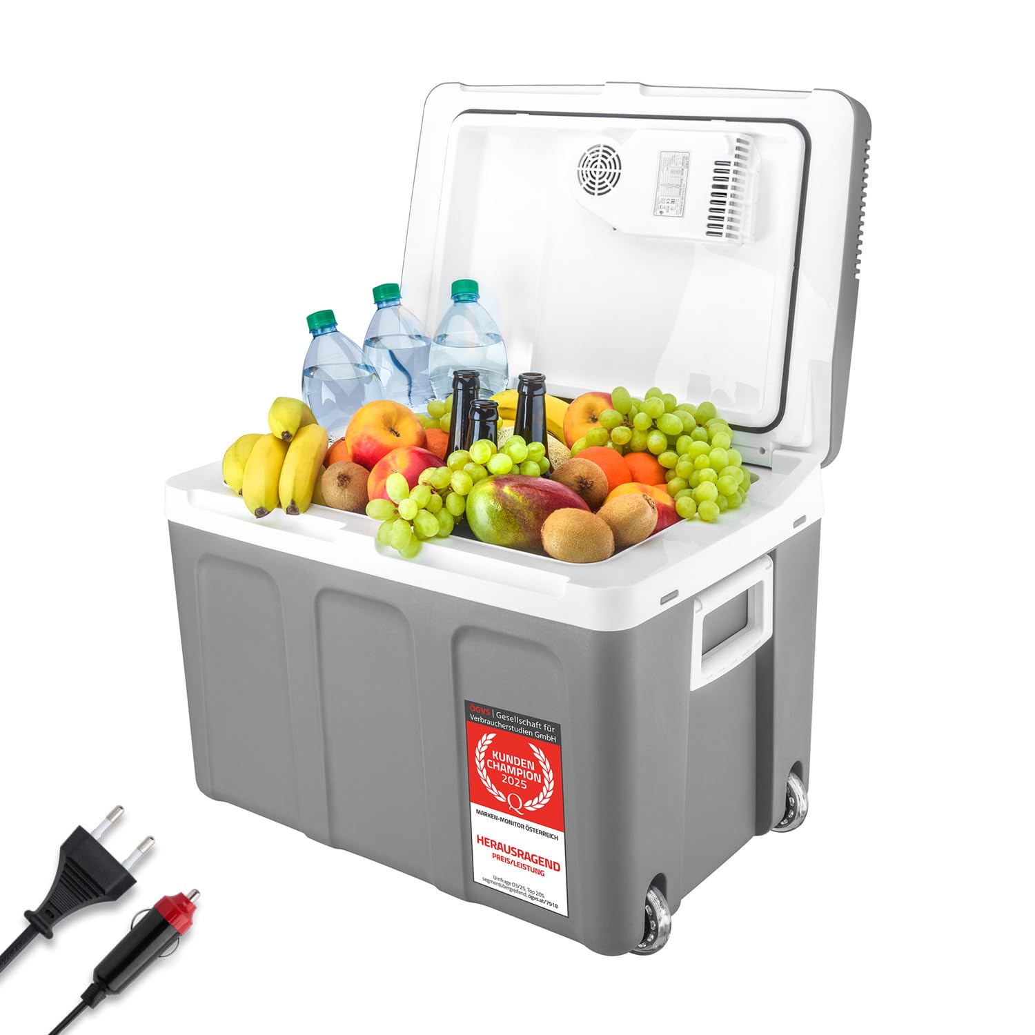 TZS First Austria elektrische Kühlbox 45 Liter | 12 Volt & 230 Volt Anschluss | mobiler Minikühlschrank mit Rollen | für Camping, Festivals, Reisen | mit Warmhaltefunktion | grau von TZS First Austria