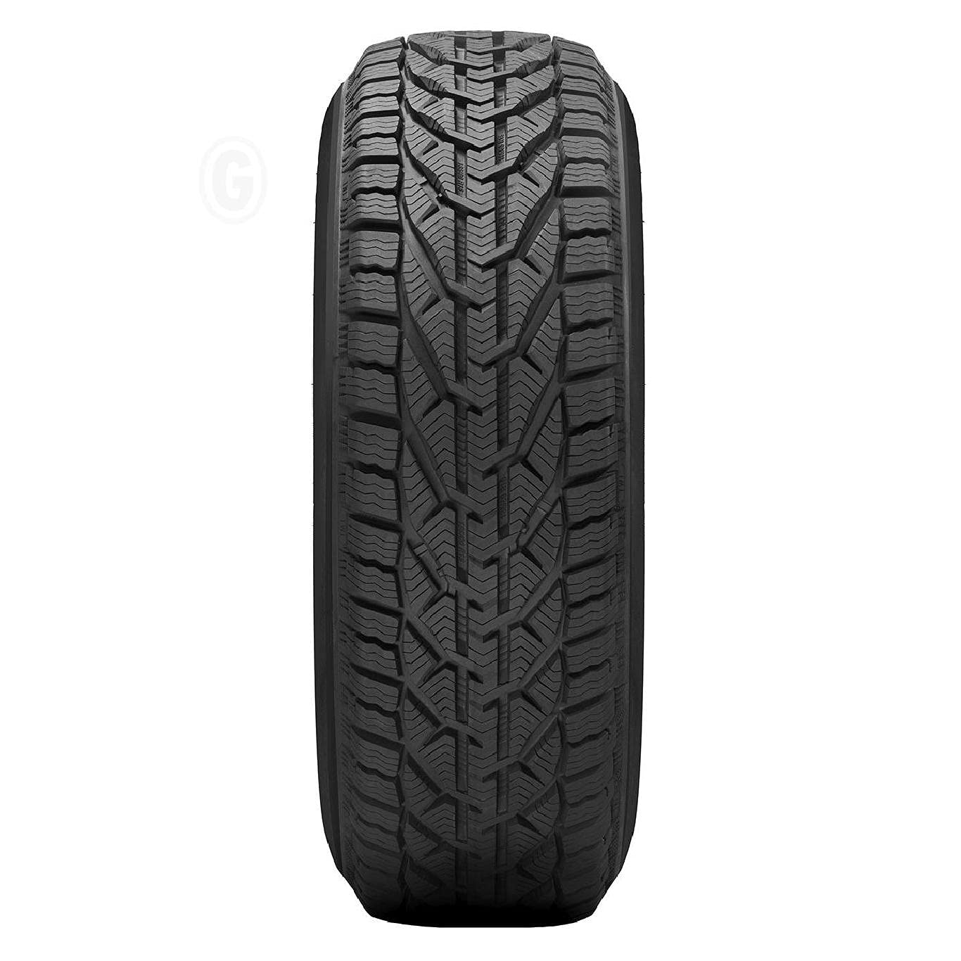 Taurus Winter 205/60 R16 92H Winterreifen GTAM T198269 ohne Felge von Taurus