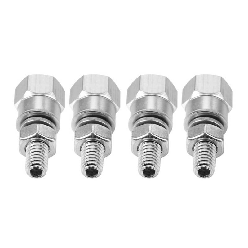 Universelle Kennzeichen Rahmenschrauben Schrauben 4pcs Klassisch Look für Motorrad (Kühles Silber) von Tbest