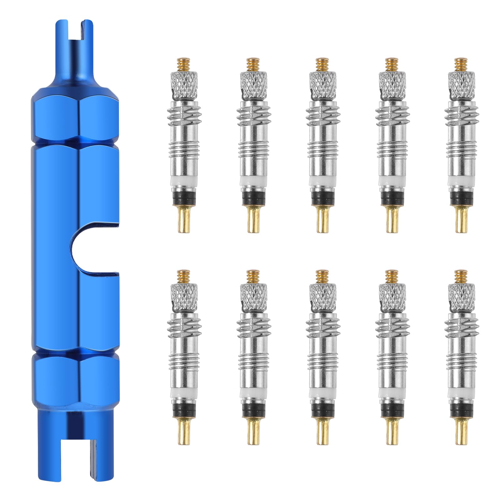 10 Stück Sclaverandventil Fahrradventil Adapter, Französisches Ventil Rennradventil Schlauchreifenventil mit 1 Stück Edelstahl Doppelkopf Ventil Kern Entfernung Werkzeug von Teaaha