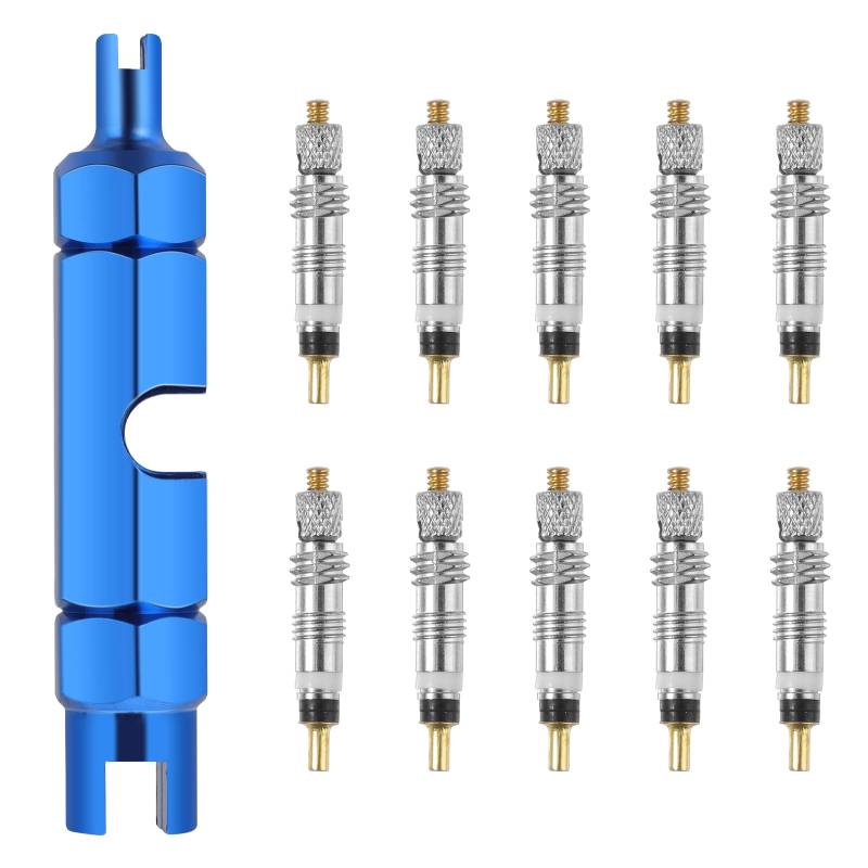 10 Stück Sclaverandventil Fahrradventil Adapter, Französisches Ventil Rennradventil Schlauchreifenventil mit 1 Stück Edelstahl Doppelkopf Ventil Kern Entfernung Werkzeug von Teaaha