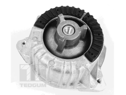 Lagerung, Motor vorne links TedGum 00418473 von TedGum