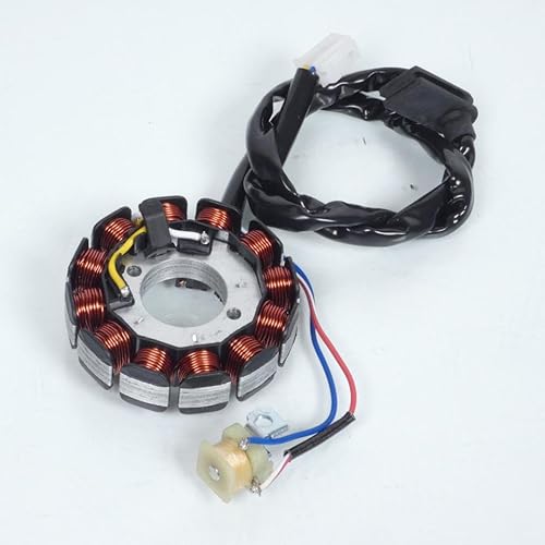 Stator d allumage Teknix pour Moto Beta 50 RR enduro Neuf von Teknix